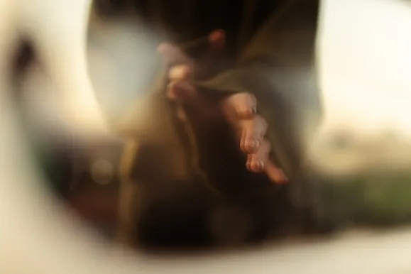 Kazino Royal Slots Atbalsts